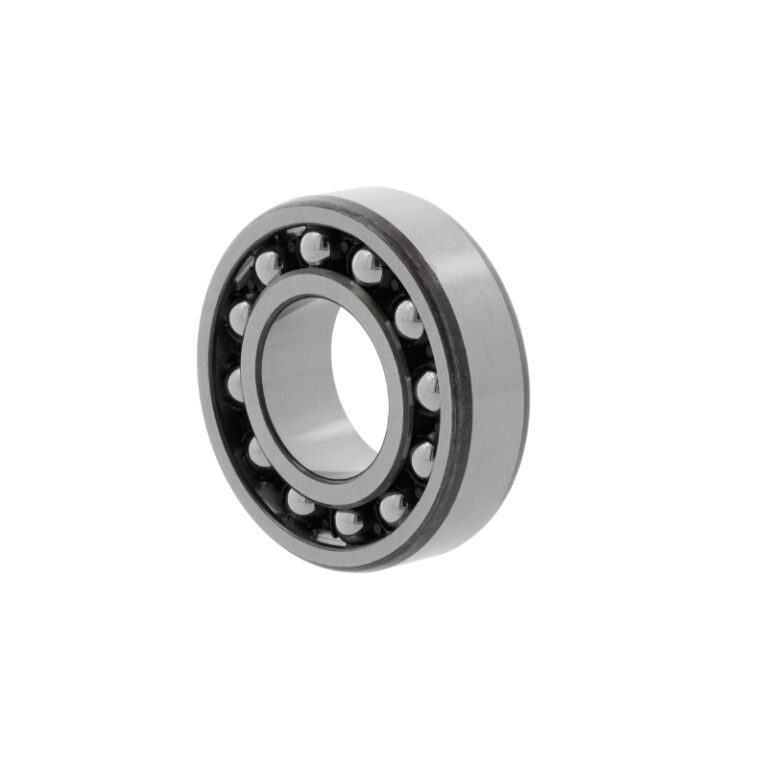 SKF 1209 EKTN9