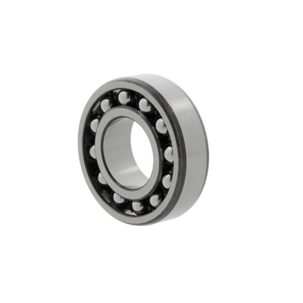 SKF 1306 EKTN9/C3