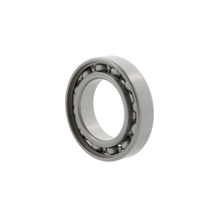 SKF 16009 /C3