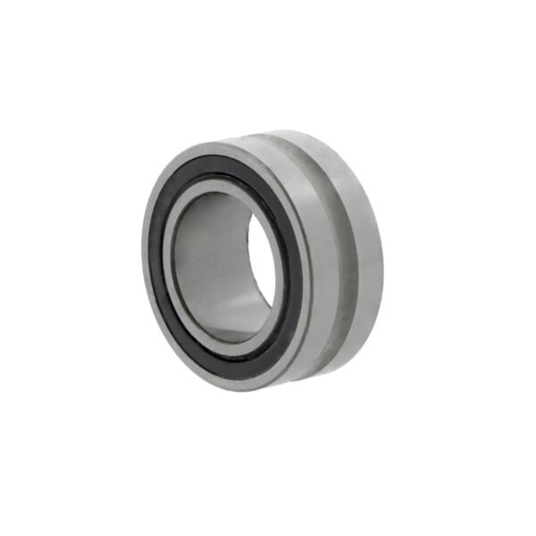 SKF NA4909 .2RS