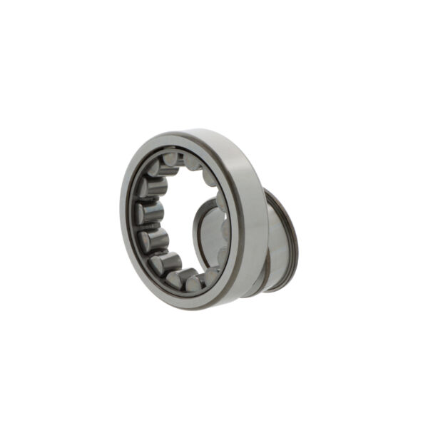 SKF NJ2319 ECJ