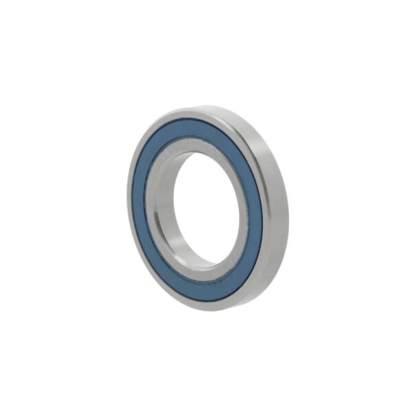 SKF W6007-2RS1/VP311