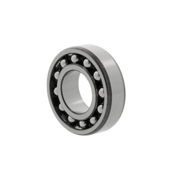 SKF 1308 EKTN9