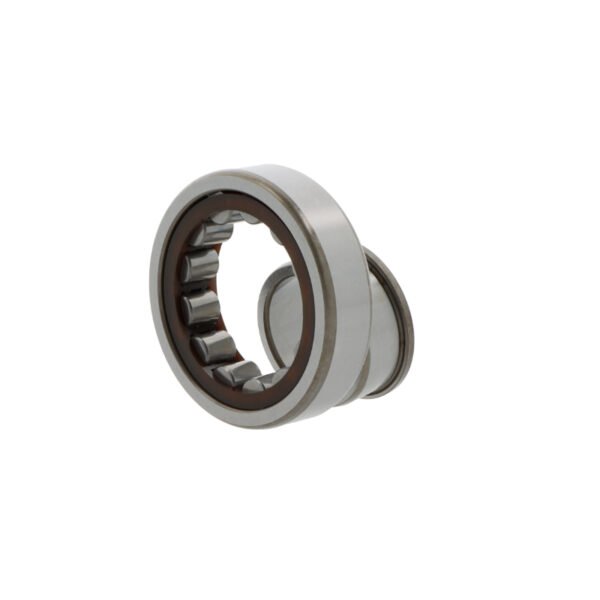 SKF NJ217 ECP