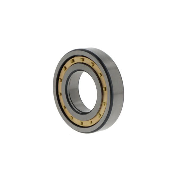 SKF NUP215 ECM/C3