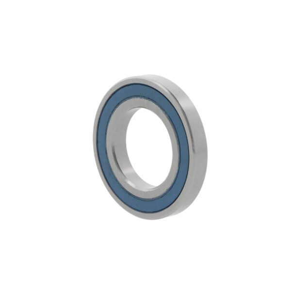 SKF 6006-2RZTN9/HC5C3WT