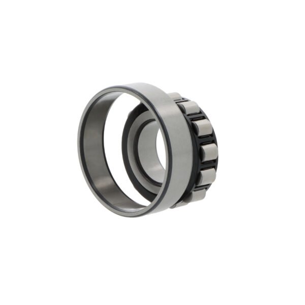 SKF N318 ECP/C3