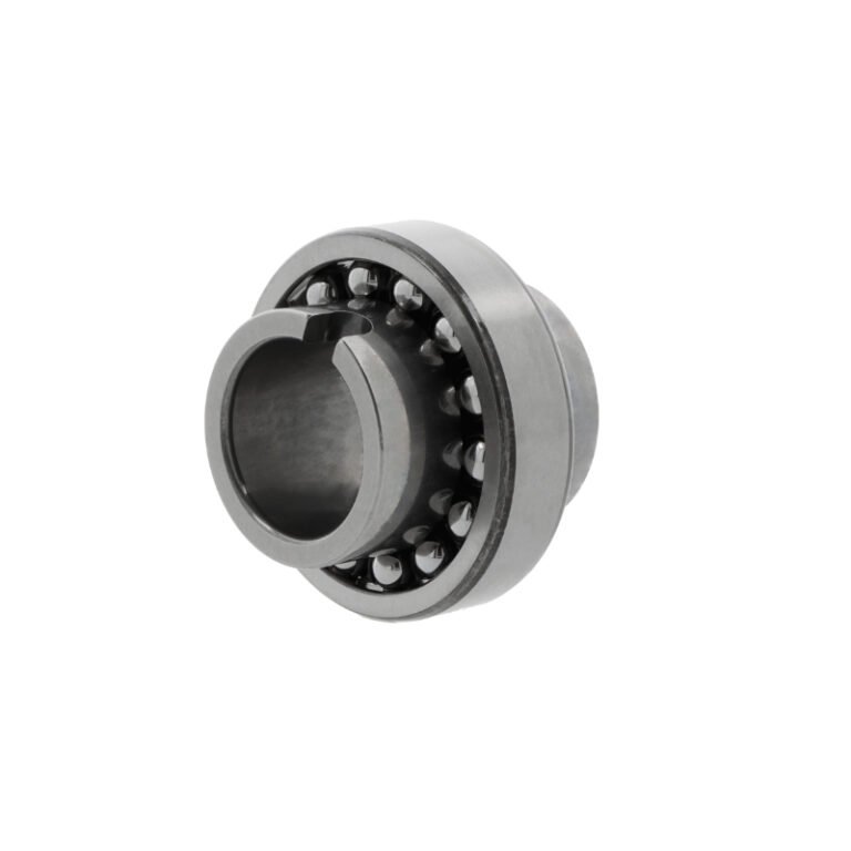 SKF 11209 TN9