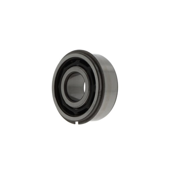 SKF 3309 ANR/C3