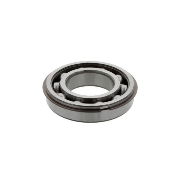 SKF 6313-ZNR