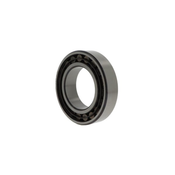 SKF C2220