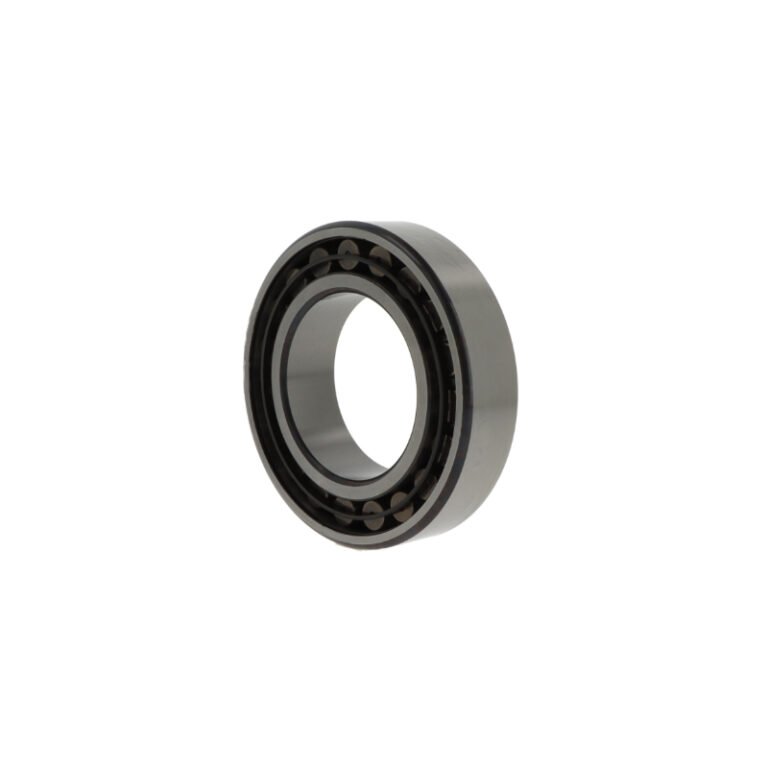 SKF C2220 /C3