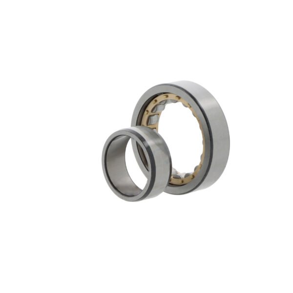 SKF NU1019 ML
