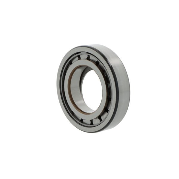 SKF NUP309 ECJ/C3